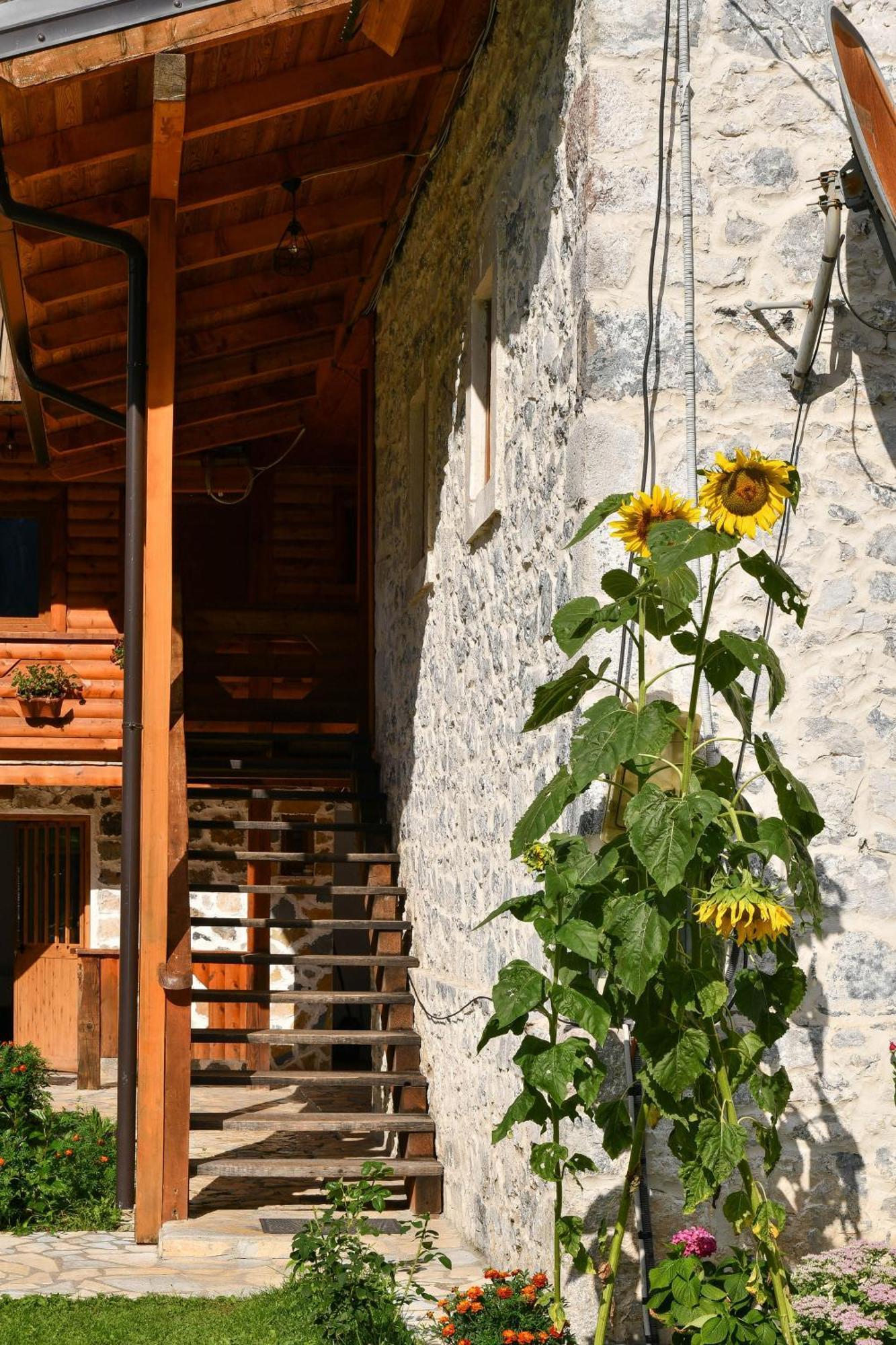 Guesthouse Prrockaj Theth Zewnętrze zdjęcie